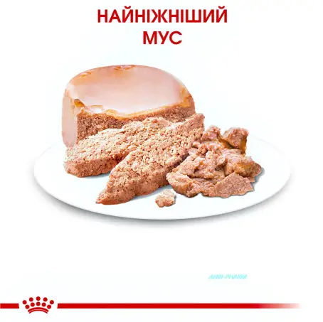 КОРМ Д/КОТОВ FHN BABYCAT INST 0,195 кг