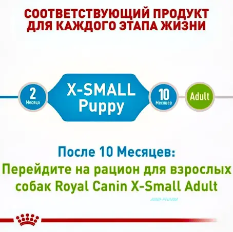 КОРМ Д/СОБАК SHN X-SMALL PUPPY 0,5 кг