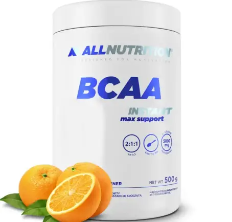 BCAA MAX SUPPORT INSTANT 500 гр Апельсин