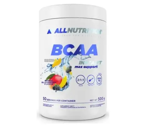 BCAA MAX SUPPORT INSTANT 500 гр Манго-Ежевика
