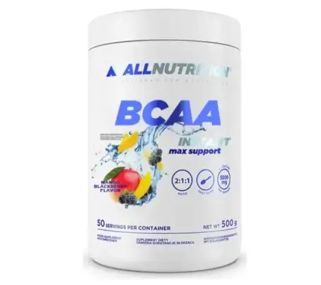 BCAA MAX SUPPORT INSTANT 500 гр Манго-Ожина