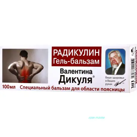 Гель-бальзам Валентина Дикуля Радикулин 100 мл №0