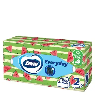 Хустинки Zewa Everyday двошарові косметичні, 100 шт