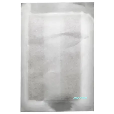 ПЛАСТ. H Dr. House БАКТ. 6 см*10 см неткан.