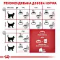 КОРМ Д/КОТОВ FHN FIT32 2 кг